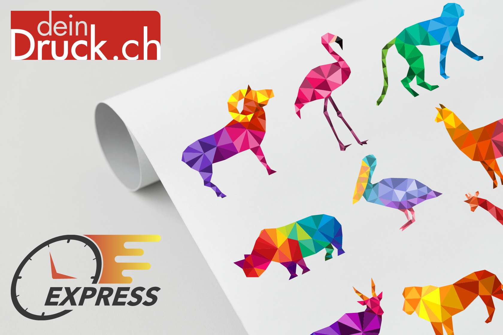 EXPRESS – DTF Transferdruck - FARBIG